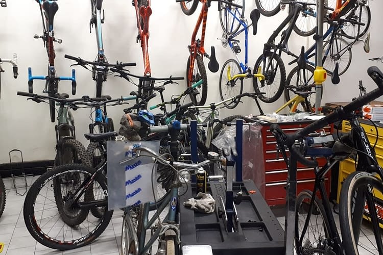 Mangone Bike - Vivere Rivoli